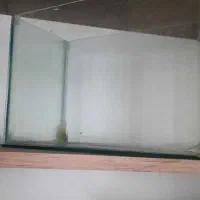 اکواریوم