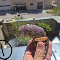 سنگ شجر و عقیق