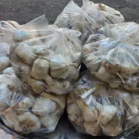سیر همدان