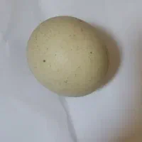 سنگ