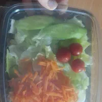 پک های سالاد فصل و سالاد شیرازی