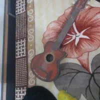 حرفه ای هستش