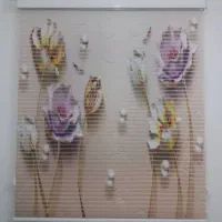 زبرا ساده.شیدساده به قیمت کار خانه
