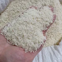 برنج هاشمی