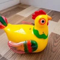مرغ تخم گذار موزیکال نو درجه یک