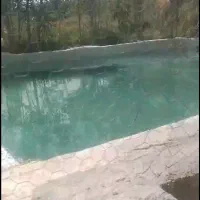 ۶۷۰۰ متر باغ مشجرکله دشت با چشمه اختصاصی فقط ۳تومن