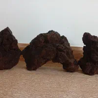 سنگ تزئینی و دکوراسیون اکواریوم