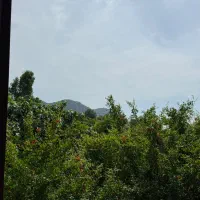 رهن-کامل225متربلوارنهارخوران
