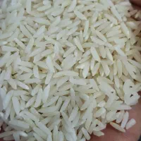برنج هاشمی