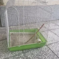 قفص پرنده
