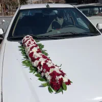 همکار برای گلفروشی