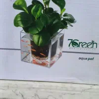 گلدان آکواریوم نو با جعبه