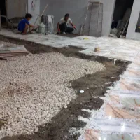 استاکاشیکار