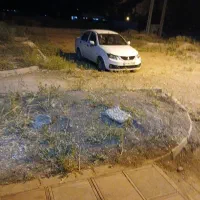 ساینا دوگانه