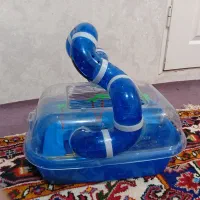همستر همراه با باکس