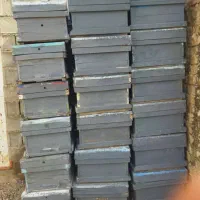 فروش کندوی زنبور عسل