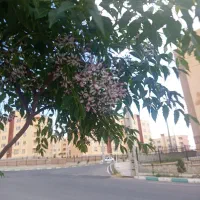سیم کارت 09120936670