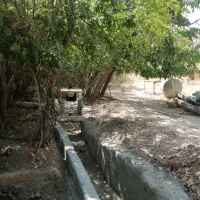باغچه-ای-مفروز-و-شش-دانگ