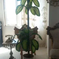 گل طبیعی