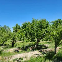 استخدام وکار یابی