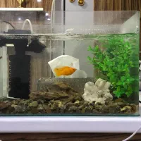 آکواریوم شیشه خم شرکتی با تمام لوازم