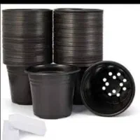 گلدان ژله ای ساز 12 مخصوص کاشت سبزه و نشا