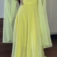 تعدادی پیراهن مجلسی زنانه
