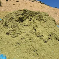 جاشیر خوراک دام .یونجه
