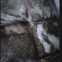 سبزی 10کیلو موجوده