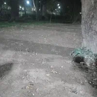 زمین بر خیابان امام خمینی
