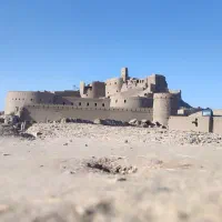 فروش خرما مضافتی مرداب سنگ و... بم و جیرفت