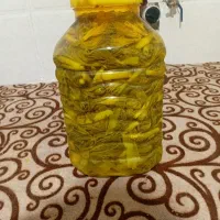 ترشی بیلهر