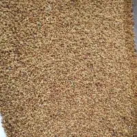 تخم یونجه بسیار تمیز