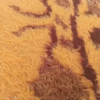 همخونه می خام