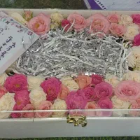 باکس پول و هدیه کوچک اماده تحویل