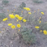 ۲۰۶