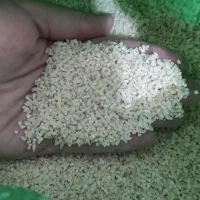 نیم دانه و درشت