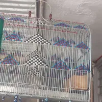 سره
