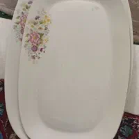دو عدد دیس چینی