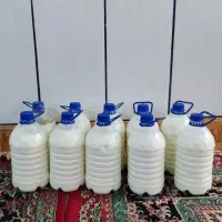 دوغ محلی گوسفندی