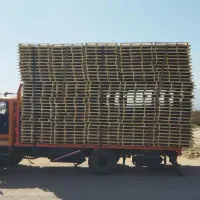 خاور بغل باز شو