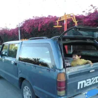 اتاق مزدا