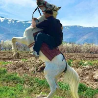 نریان عرب ایرانی