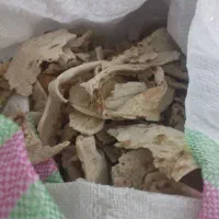 250کیلو نون خشک درجه یک  فروش فوری