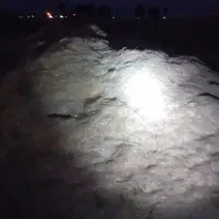 فروش۵تن کاه گندم