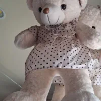 خرس پو لیشی