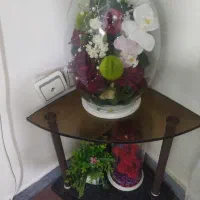نظافت. منزل
