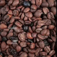 پخش عمده قهوه