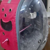 کوله پرنده سگ و گربه