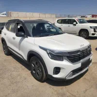 کیا سلتوس بلک راف